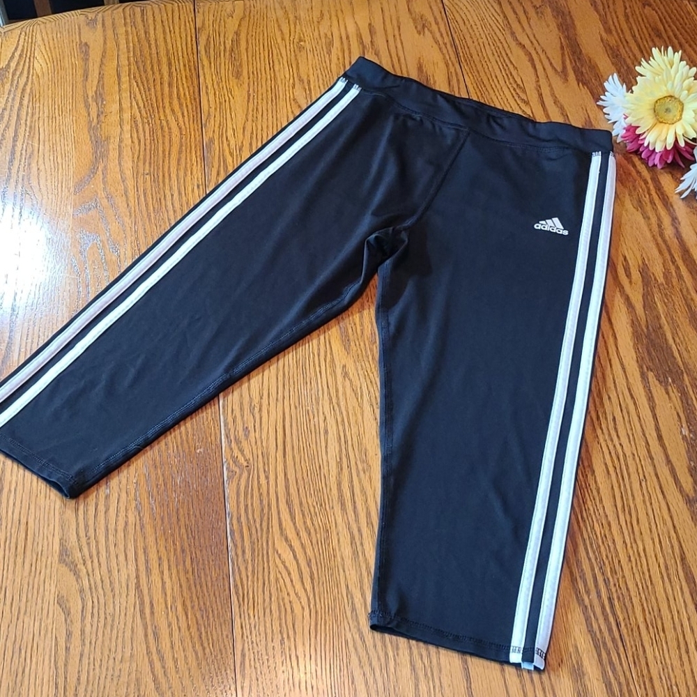 Adidas Climalite pants